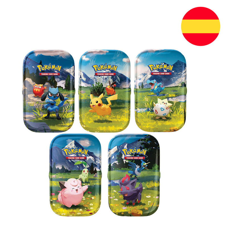 latas cartas pokemon
